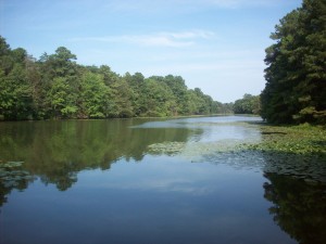 Smithville Lake in September