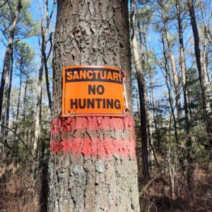 Sanctuary/no hunting sign
