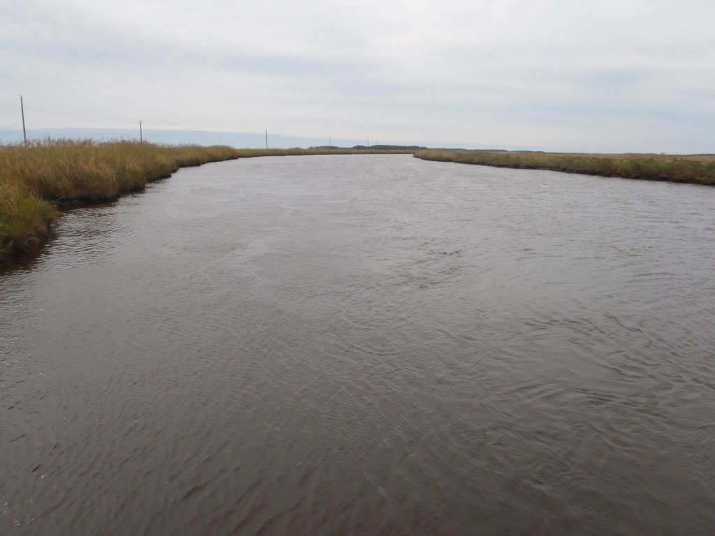 Elliott Island Road Boat Ramp Paddle the Nanticoke Paddle the Nanticoke