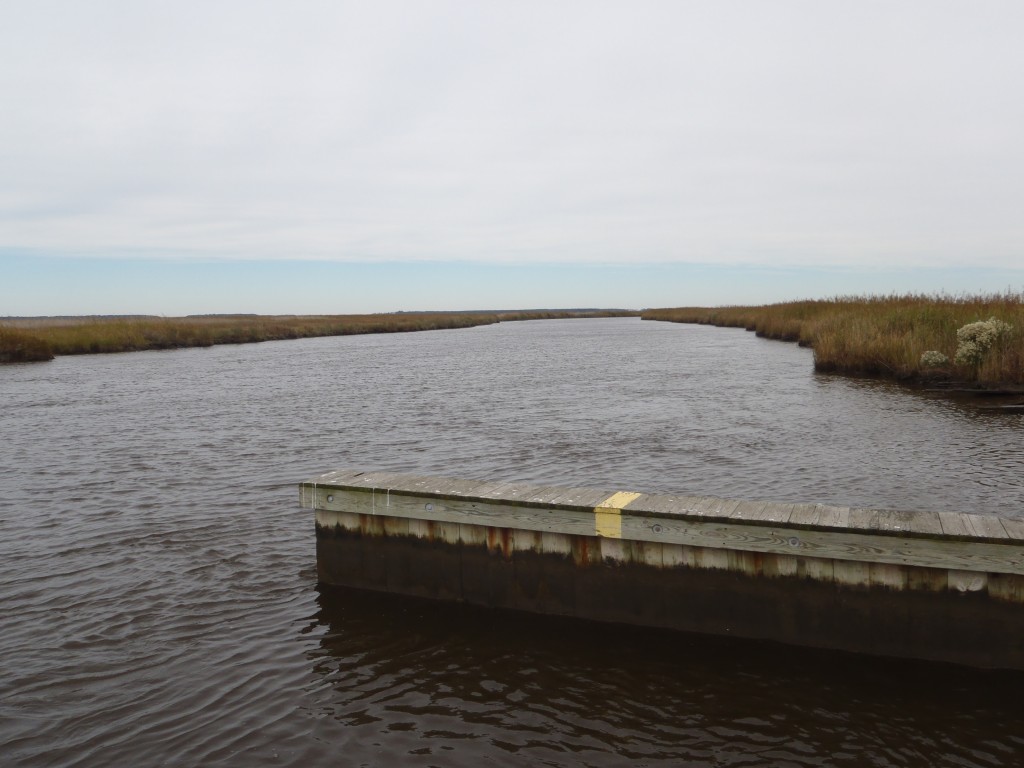 Elliott Island Road Boat Ramp Paddle the Nanticoke Paddle the Nanticoke