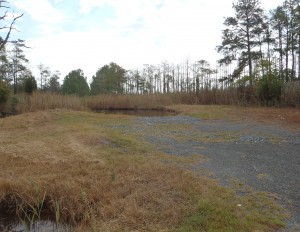 The parking lot at Liners Rd. is unmarked, and consists of unmarked spaces in an uneven gravel lot.