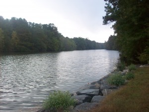 View downstream from the VFW boat ramp.